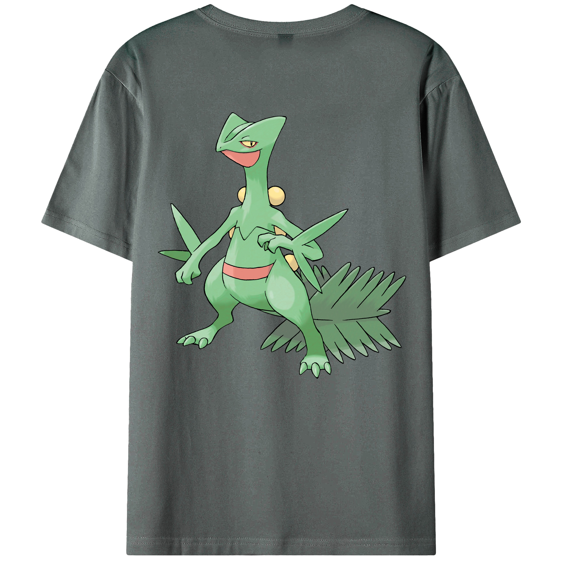 （画像用） ポケットモンスター Pokémon 綿100％ メンズ半袖Tシャツ（バックプリント） 通気性